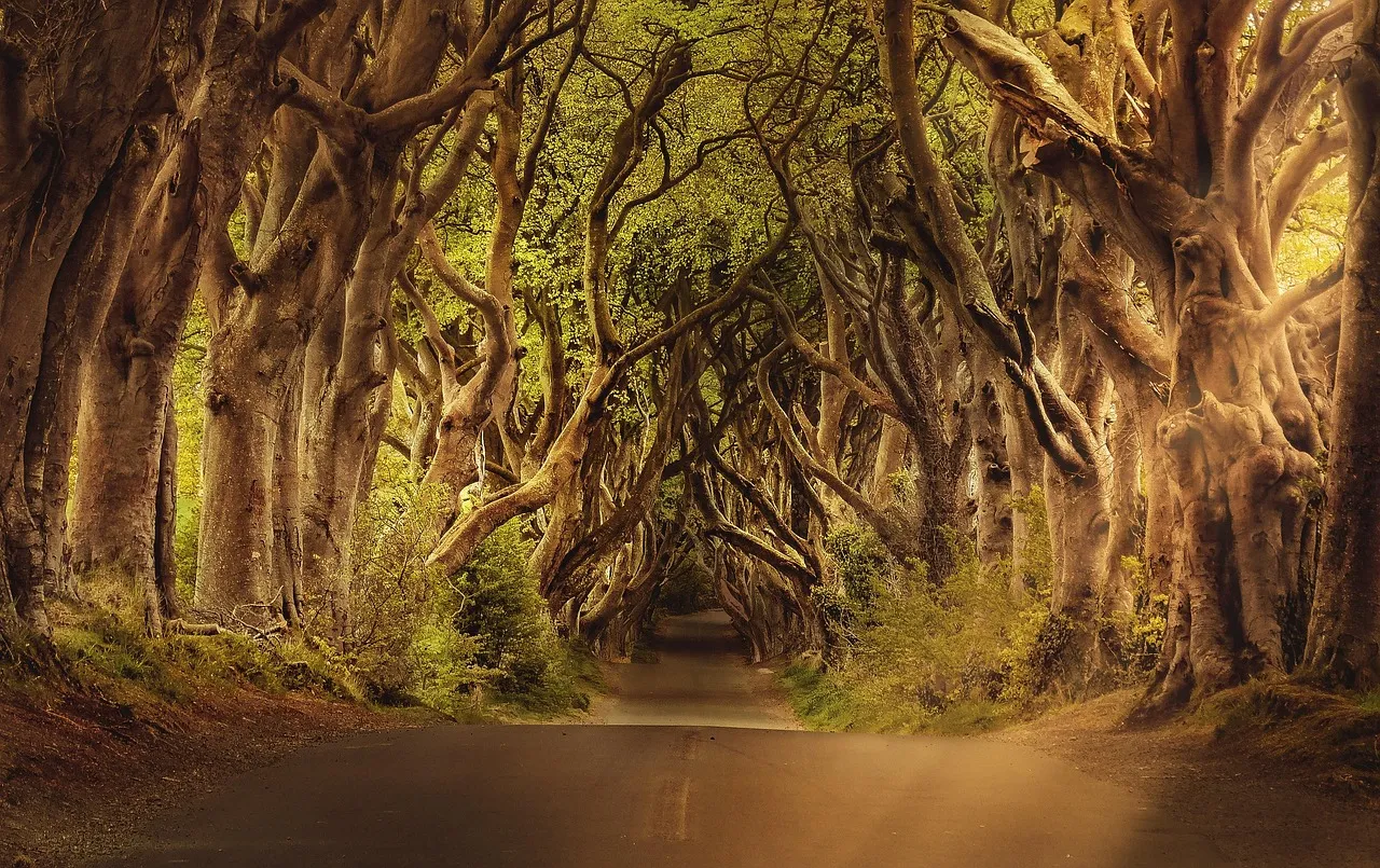 ETIAS for US Citizens Traveling to Ireland in 2026: Your Guide