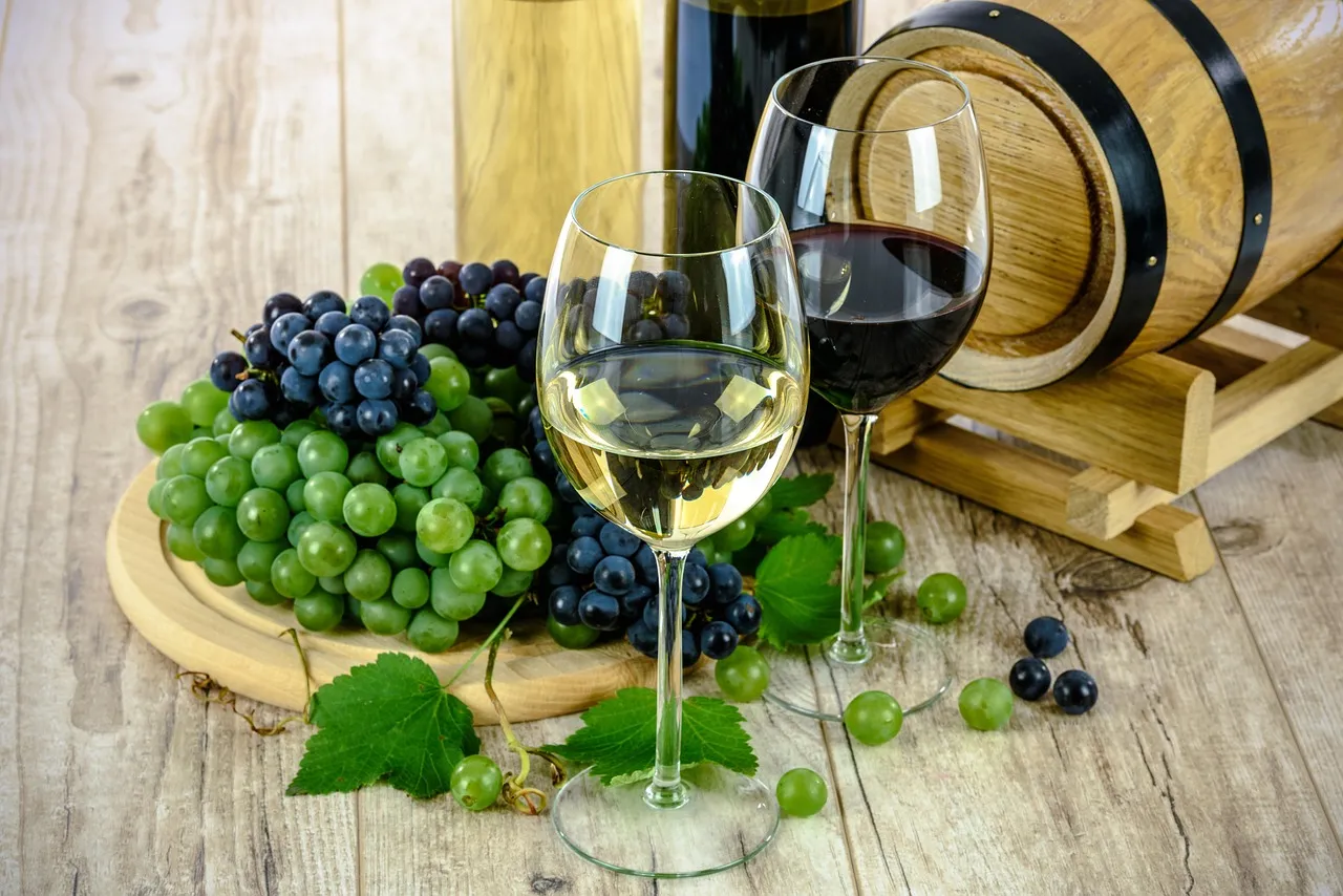 Tuscany Wine Harvest Itinerary: Your Ultimate September Guide